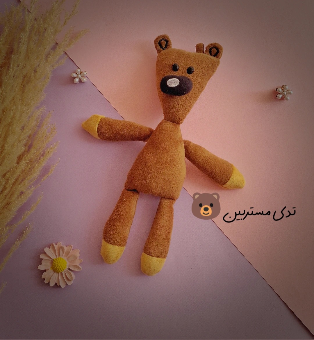 تدی مستربین