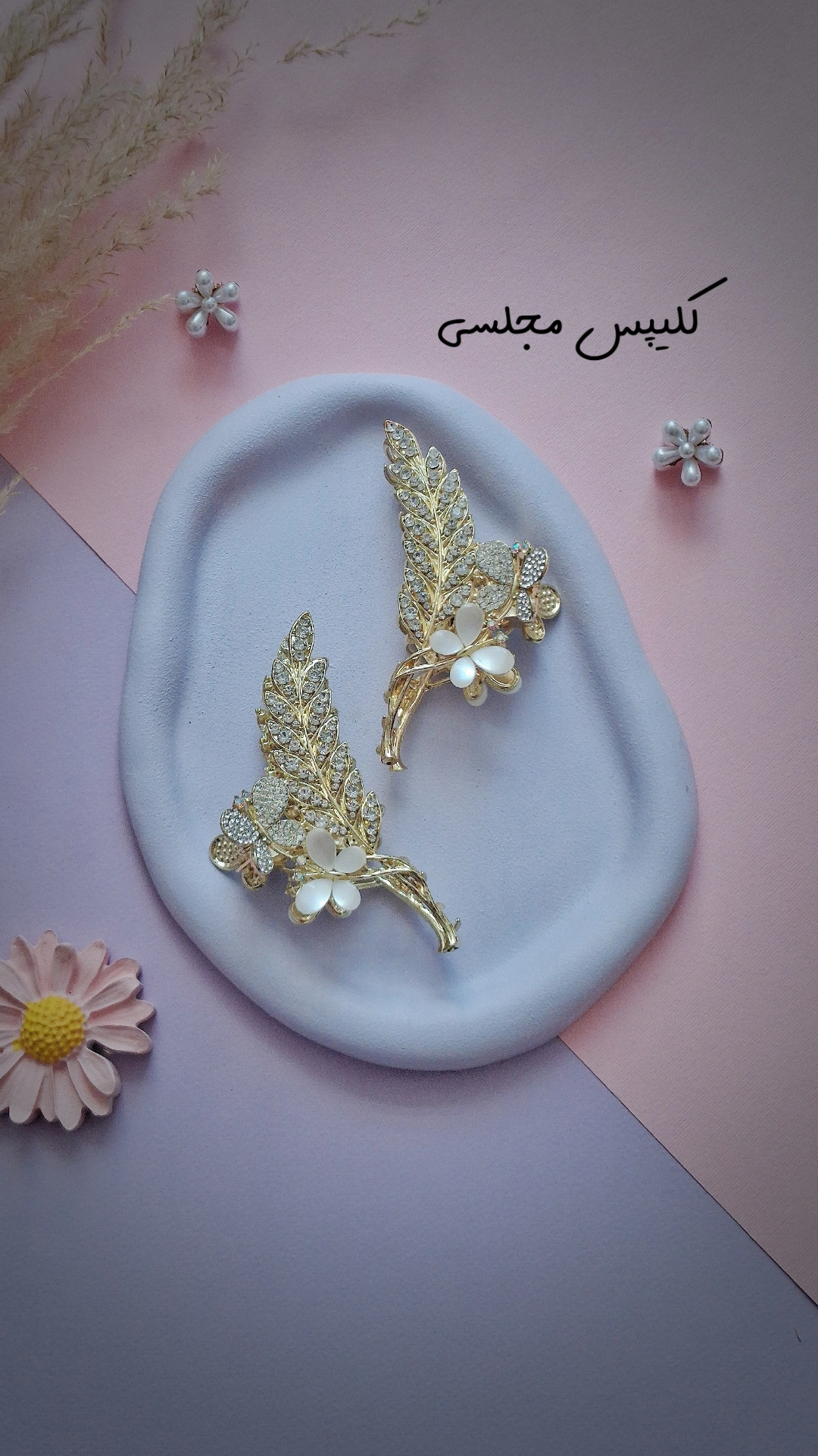 کلیپس مجلسی