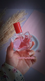 عطرکودک کیتی🐱